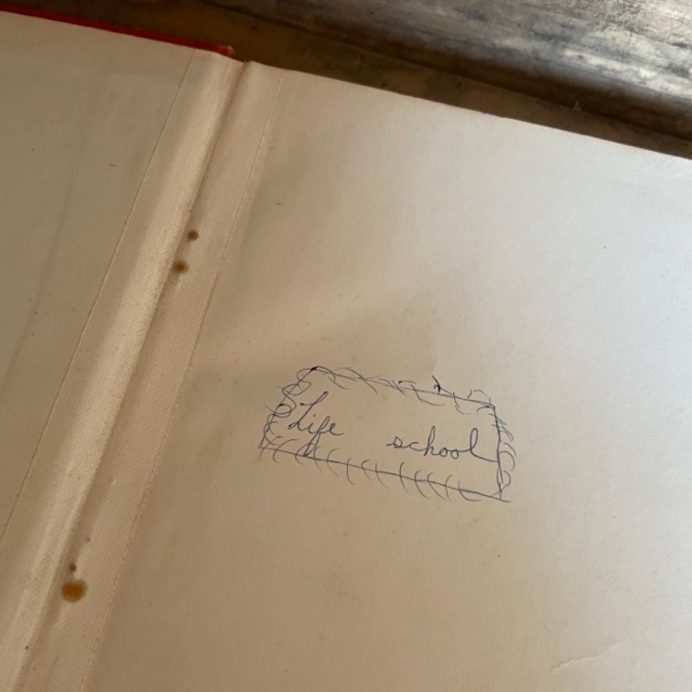 RARE Antique Vintage 1934 Horse Book White-Saddle Collectors Hard Copy - Picture 7 of 12